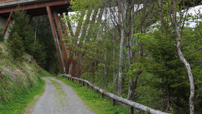 Holz-Europabrücke / Radweg