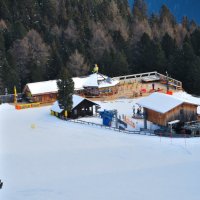 Schluckspecht bei der Rosenkranzbahn