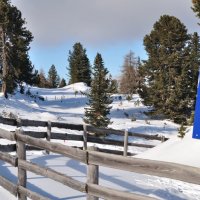 Winterwandern am Kreischberg